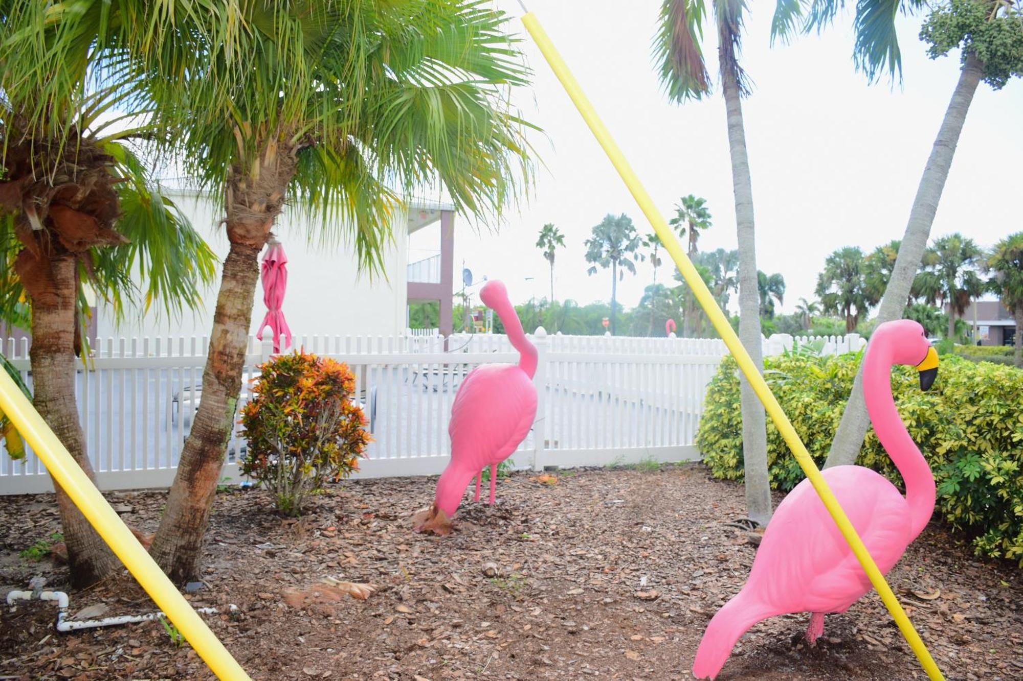 Flamingo Motel Okeechobee Eksteriør bilde